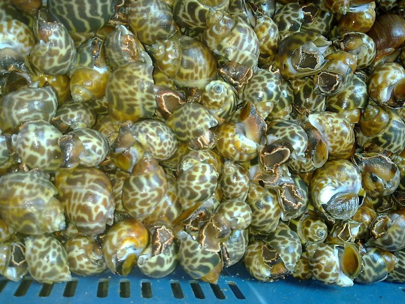 05052011313.jpg