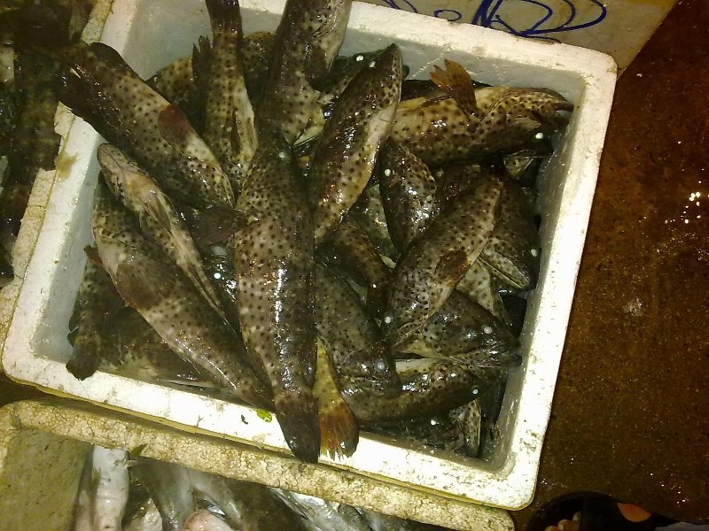 13012011235.jpg